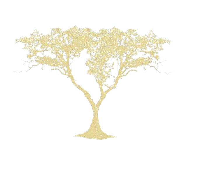 LOUBANA BEAUTY - جوديا الجمال